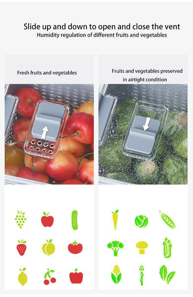 Fresh Produce Vegetable Fruit Storage Containers