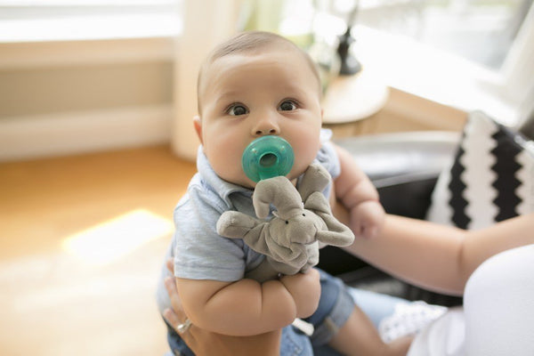 Baby guardian, cute animal Pacifier