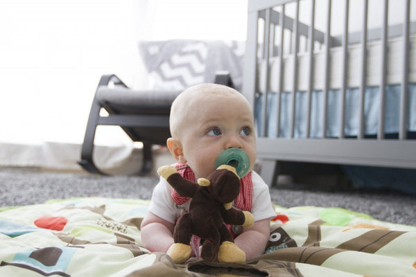 Baby guardian, cute animal Pacifier