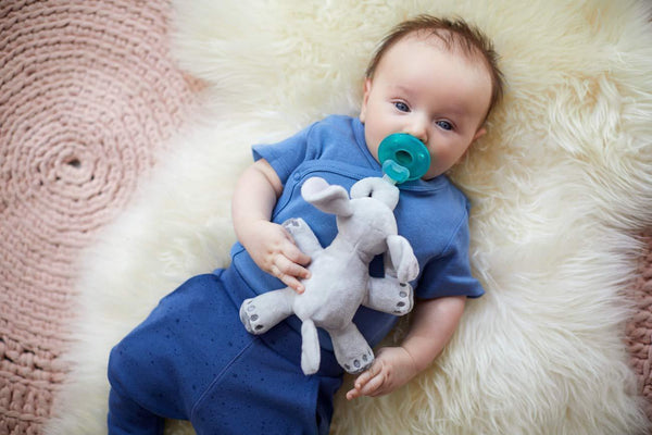 Baby guardian, cute animal Pacifier