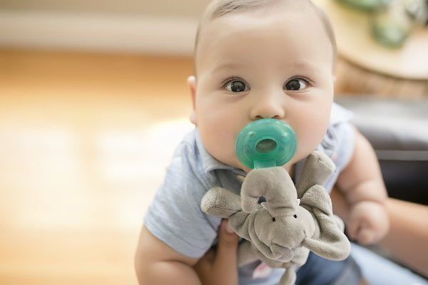 Baby guardian, cute animal Pacifier