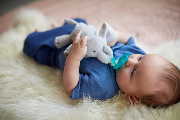 Baby guardian, cute animal Pacifier