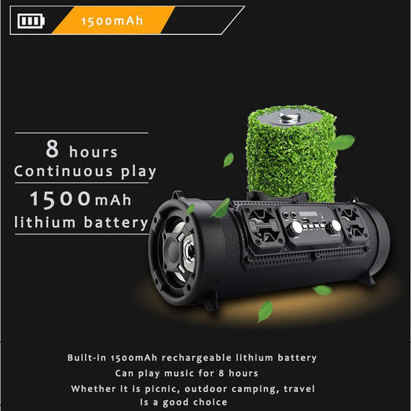 Portable High-Power Bluetooth Speaker